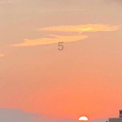 全民烧脑3去广告版