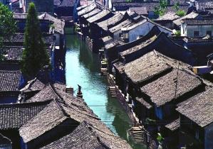 动物帮帮忙保卫家园